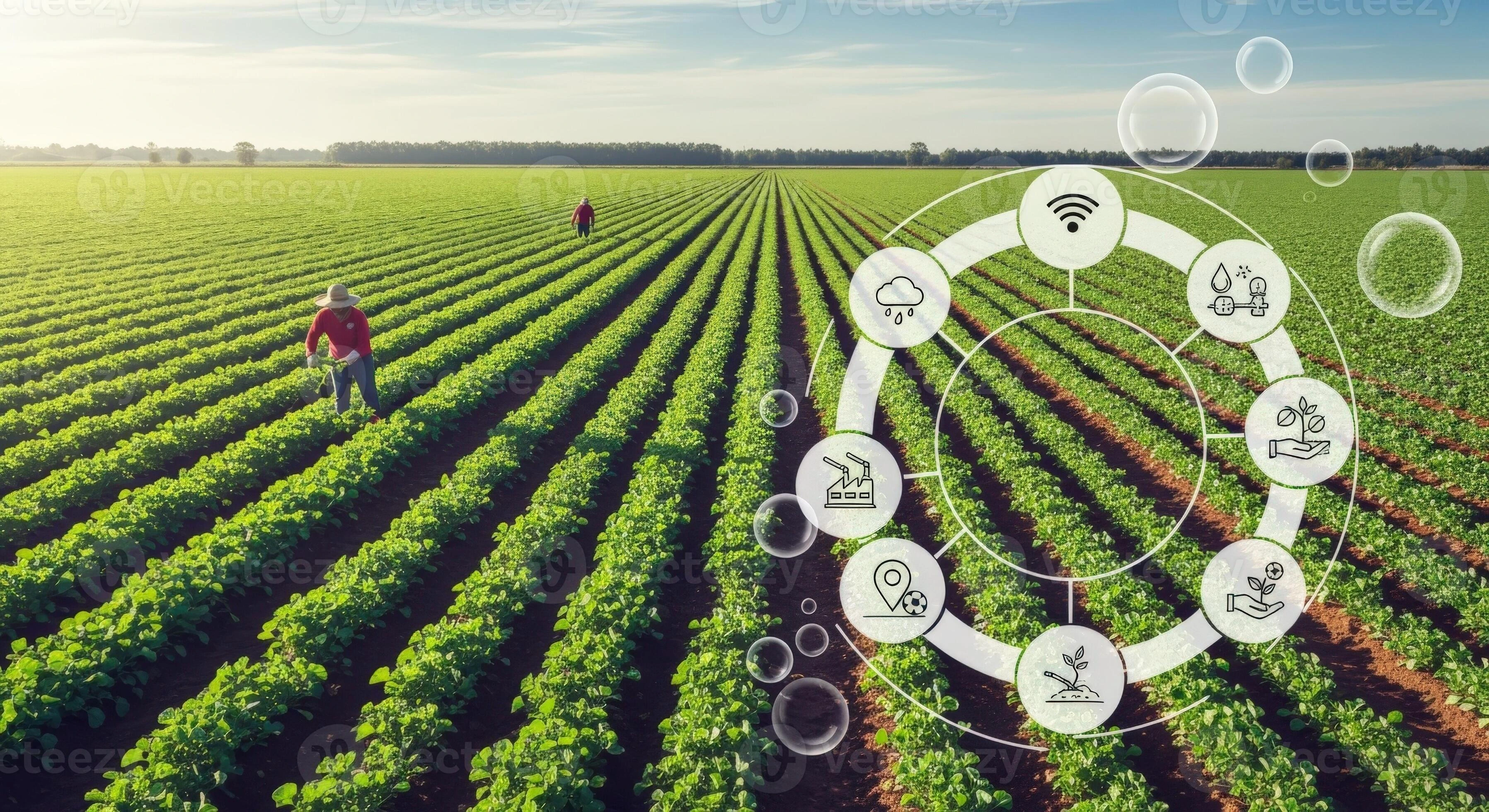 Smart Farming